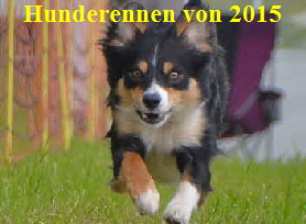 Hunderennen