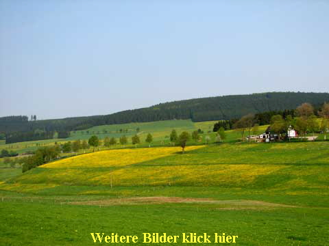Weitere Bilder klick hier