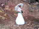 MD000151