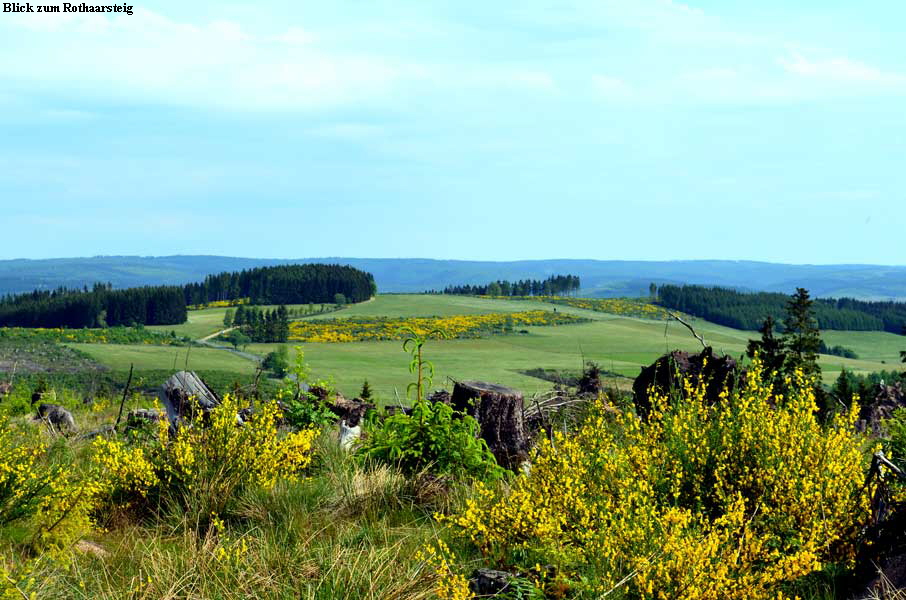 Blick zum Rothaarsteig