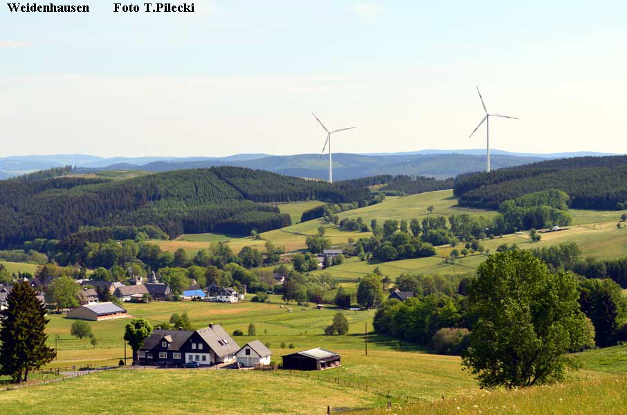 Weidenhausen       Foto T.Pilecki