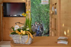 messe Seriennummer059