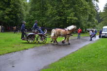 T_Pilecki072