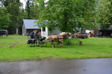 T_Pilecki086