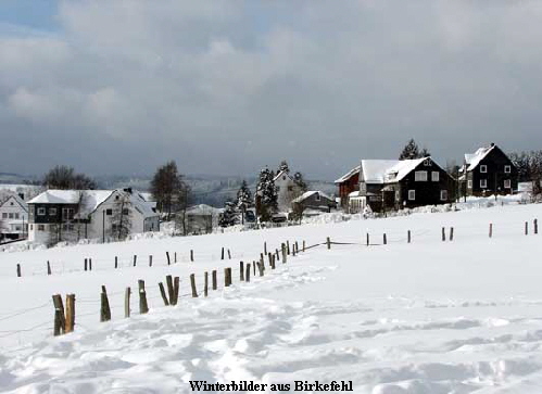 weitere Bilder   klick hier